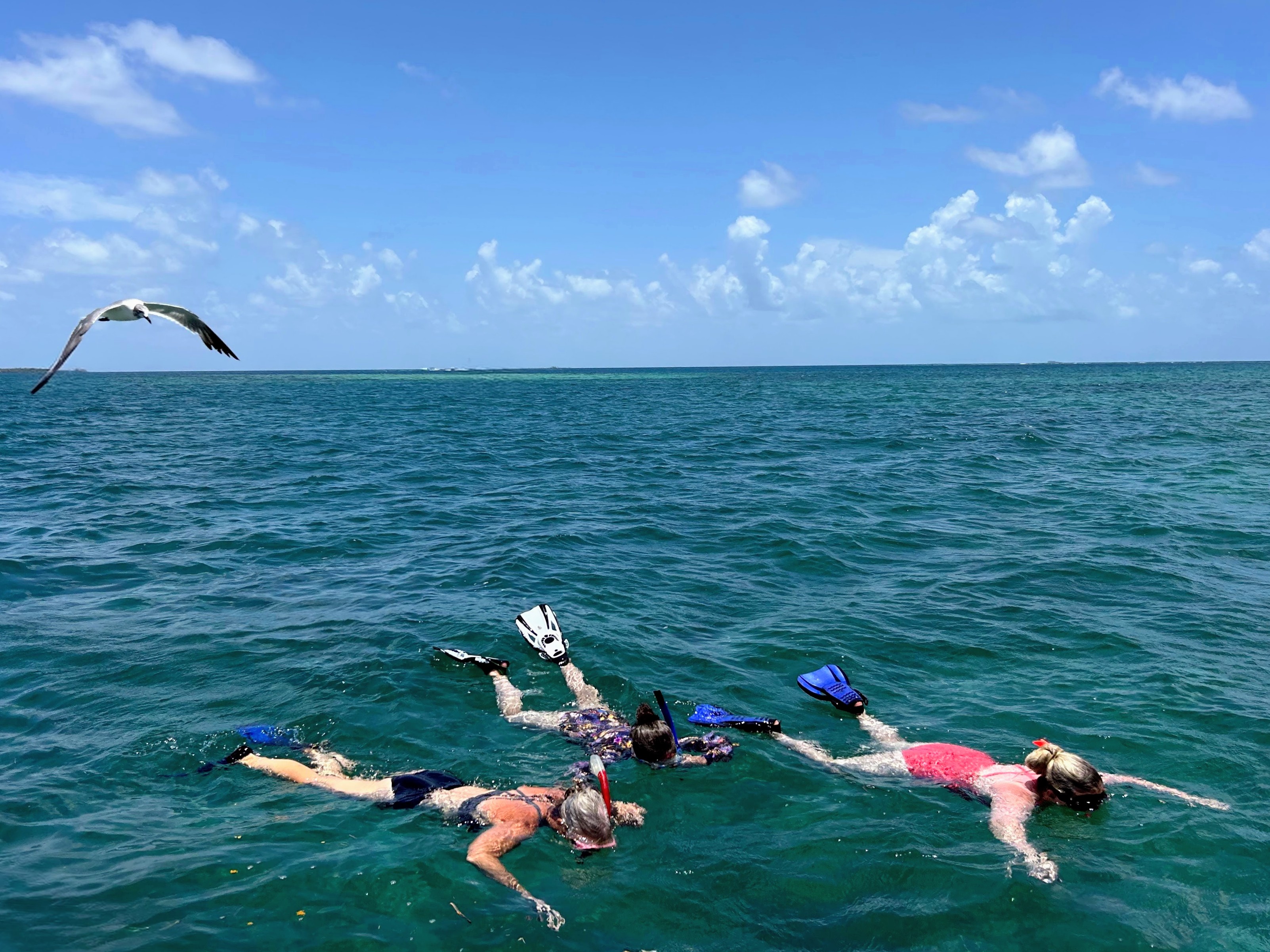 Snorkeling in Belize